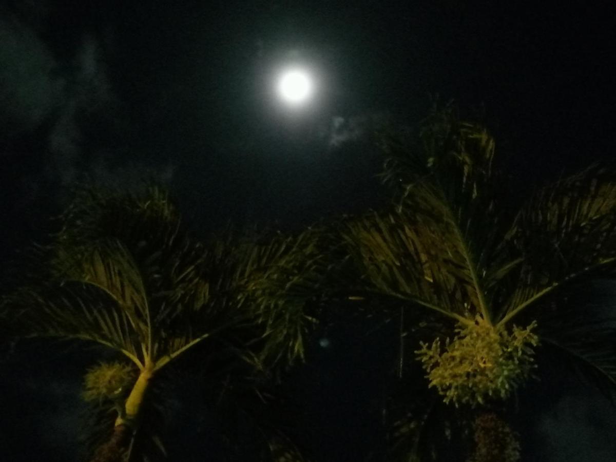 Hotel Malinche Quepos Ngoại thất bức ảnh